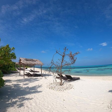 Shamar Guesthouse & Dive Maamigili Exterior foto